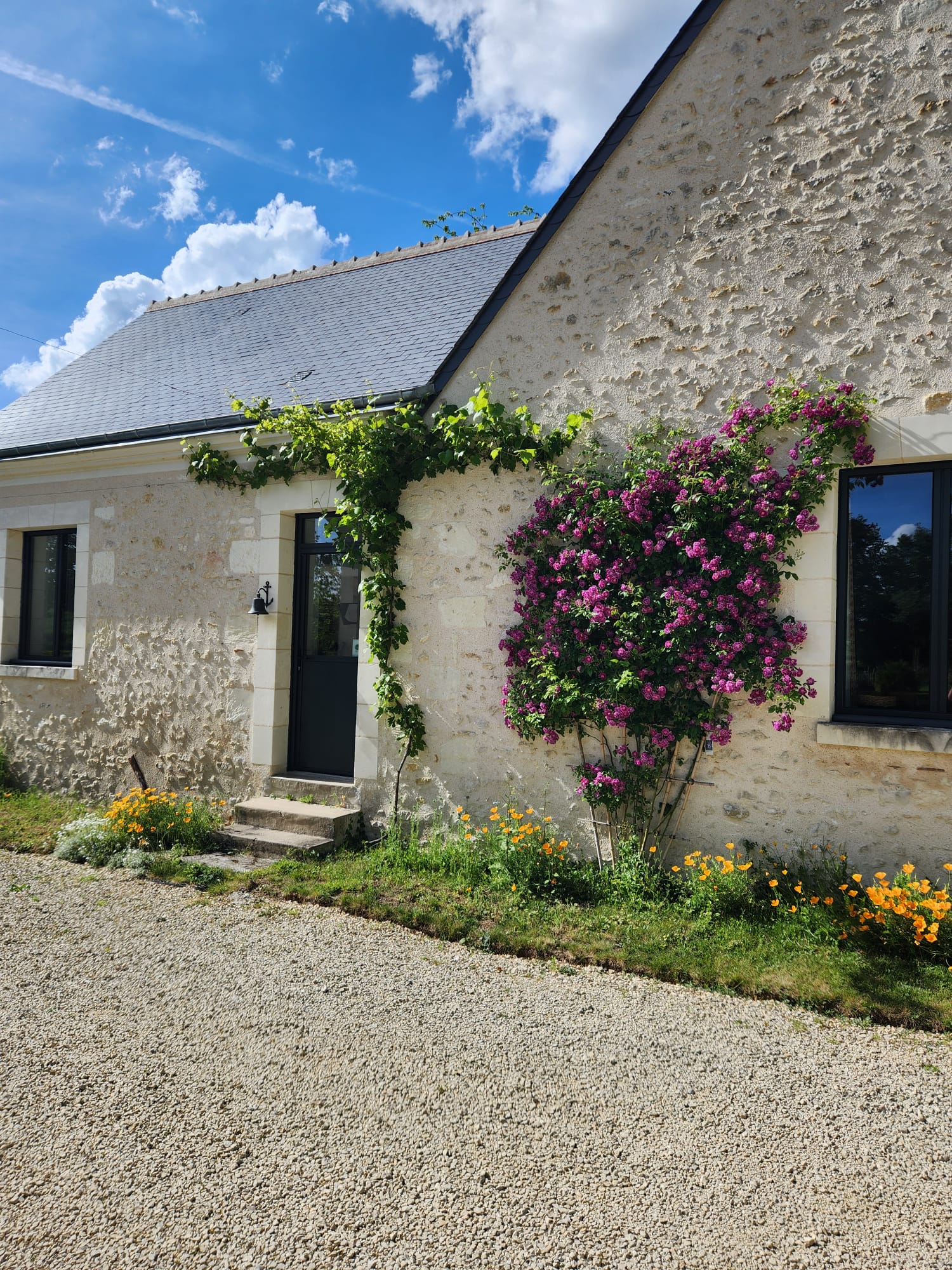 L'entrée sous la treille