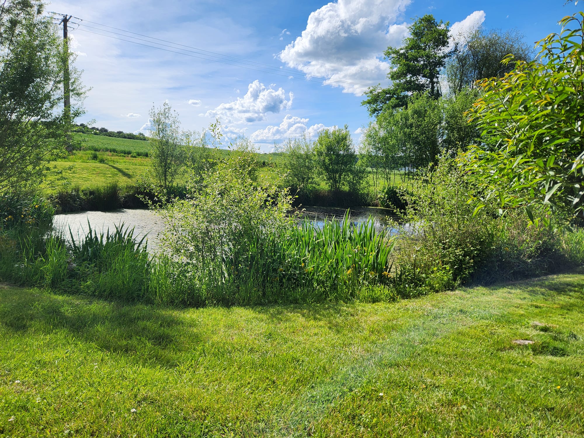 Le plan d’eau, en bas du pré
