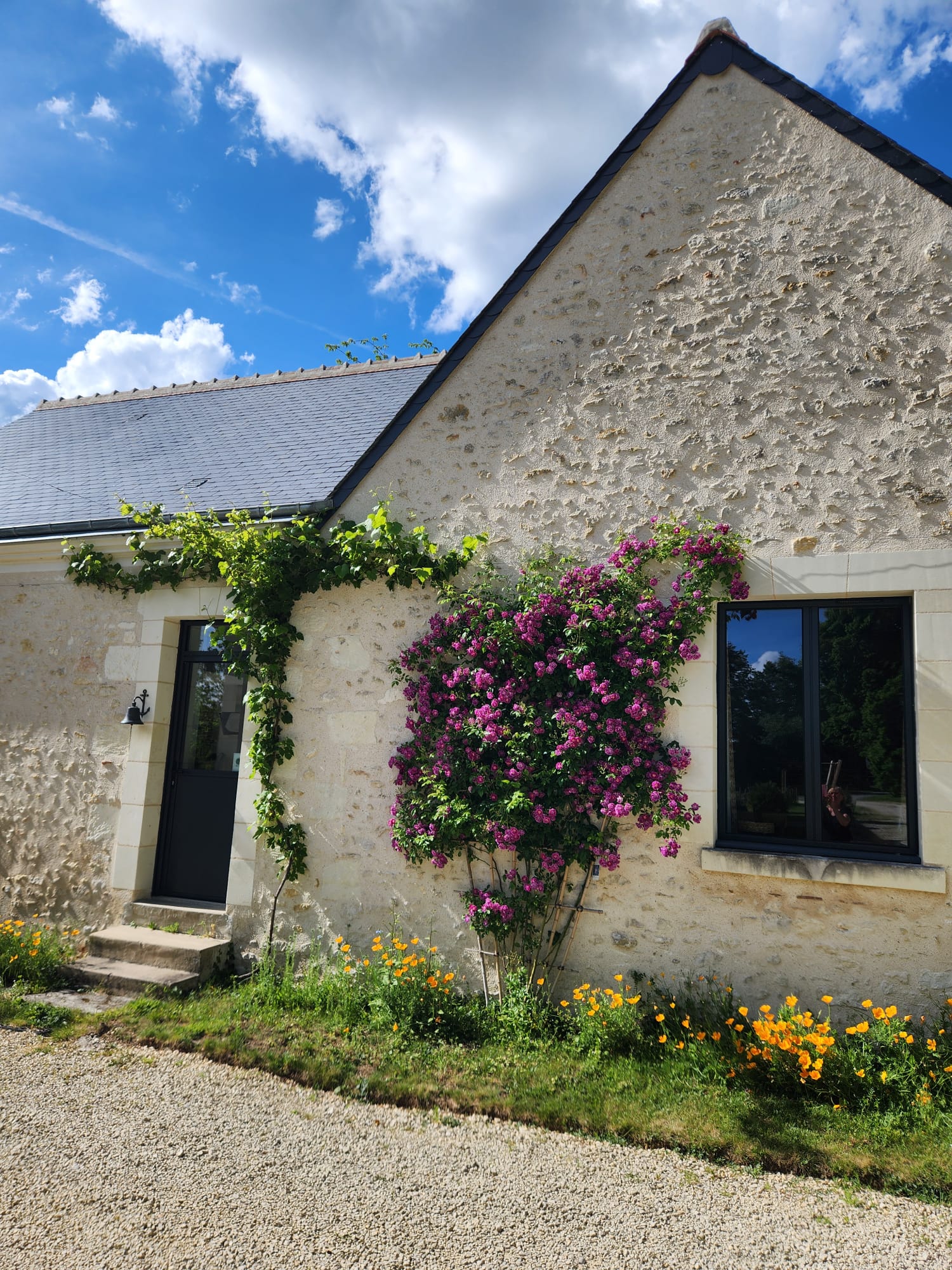 La façade et son rosier grimpant