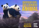 Zooparc de Beauval
